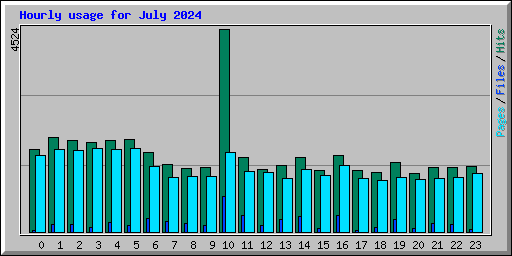 Hourly usage for July 2024