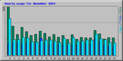 Hourly usage for November 2024