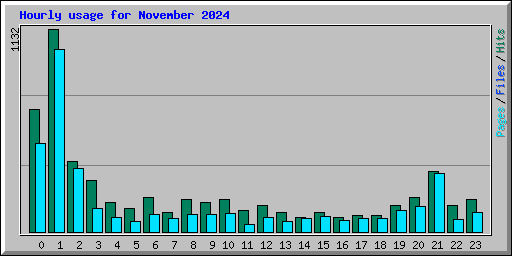 Hourly usage for November 2024